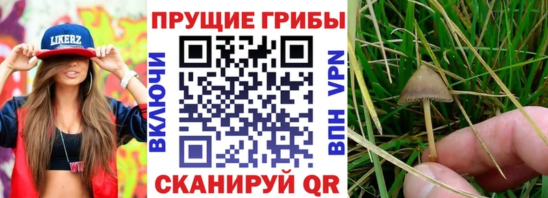 Псилоцибиновые грибы мухоморы  Салаир 
